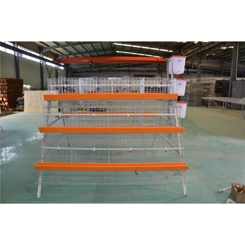 Biosecure Cage Designs: Protecting Layer Chickens from Disease
