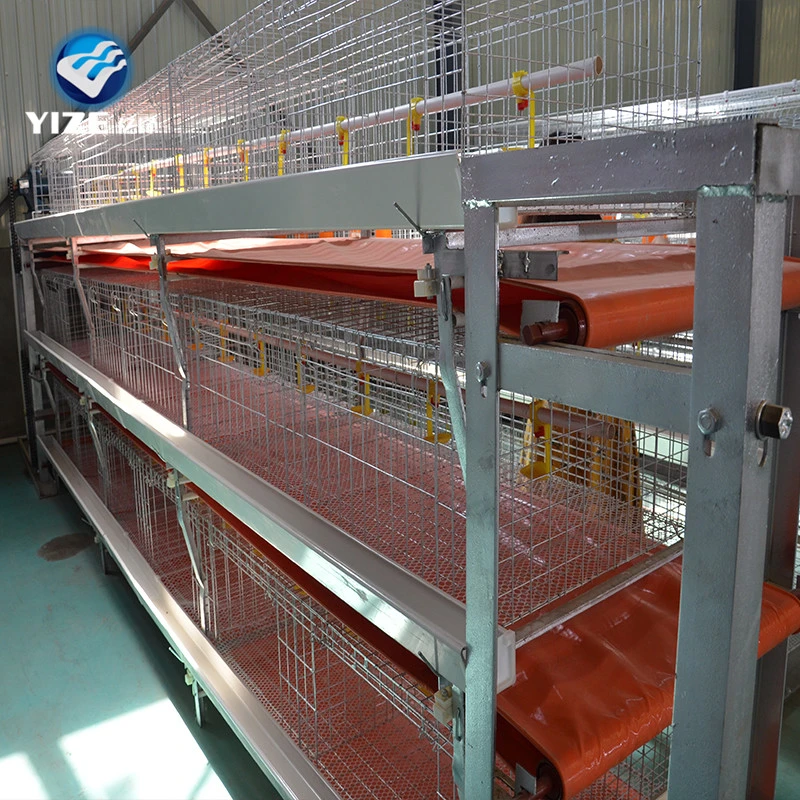 Transforming Poultry Farming with Innovative Solutions