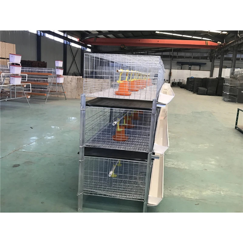Eco-Friendly Poultry Cage Designs for Sustainable Farming