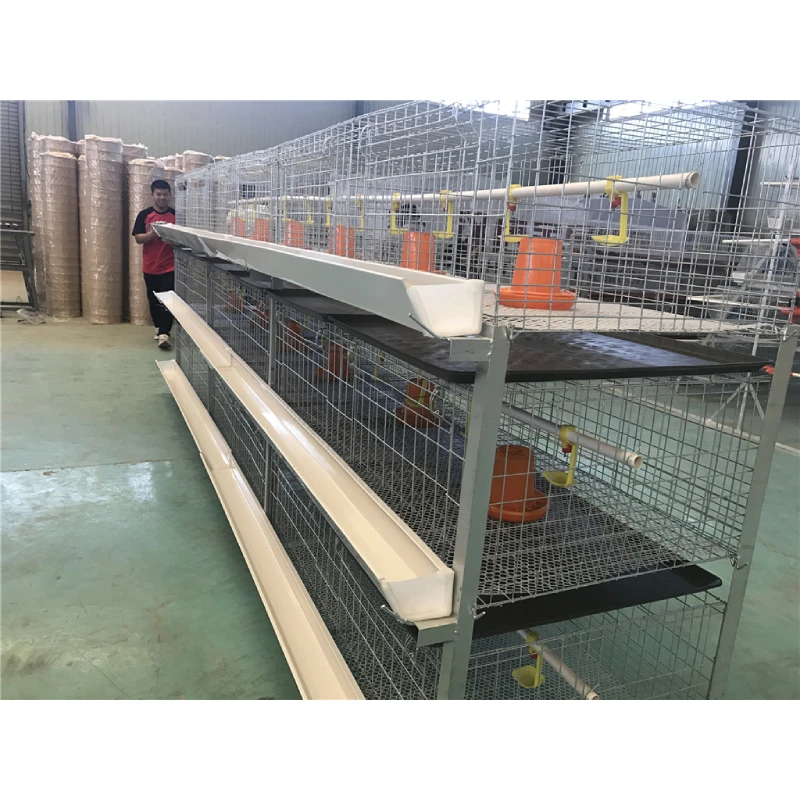 Customizable Poultry Cages: Meeting Specific Farming Needs