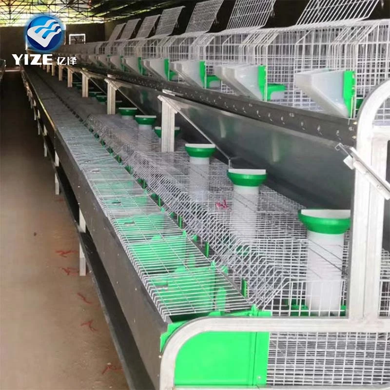 Long-Term Performance of Rabbit Transport Cages
