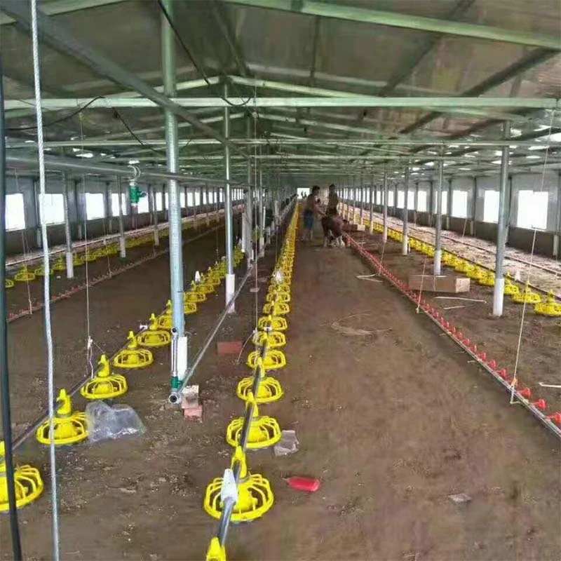 The importance of feed processing machines for ranches