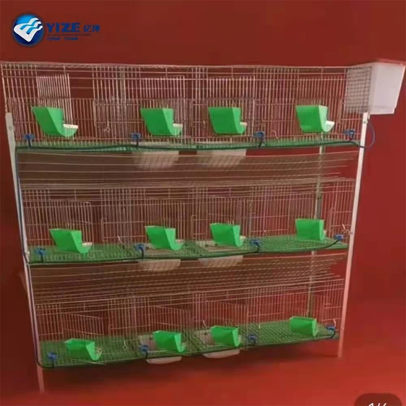 The Best Rabbit Cages for Your Pet